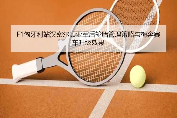 xiong-ya-li-zhan-han-mi-er-dun-ya-jun-hou-lun-tai-guan-li-ce-lve-yu-mei-ben-sai-che-sheng-ji-xiao-guo-2-584.jpg